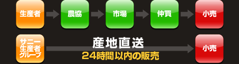 産地直送