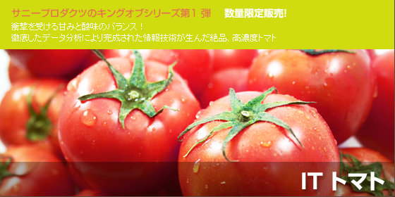 IT トマト